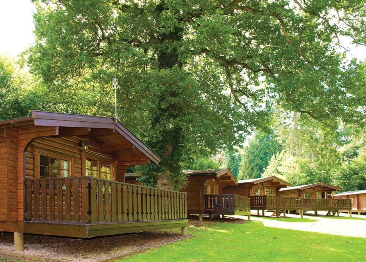Whitemead Forest Park Hotel Parkend Exterior photo